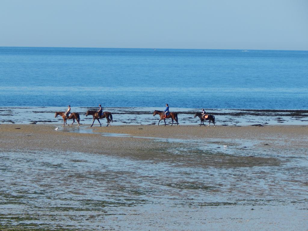 Le Clos Normand Saint-Aubin-sur-Mer (Seine-Maritime) Ngoại thất bức ảnh
